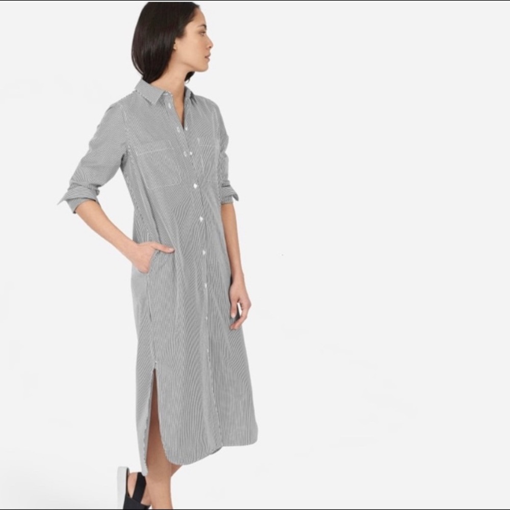 Everlane Striped Cotton PoplinShirt Dress size 4